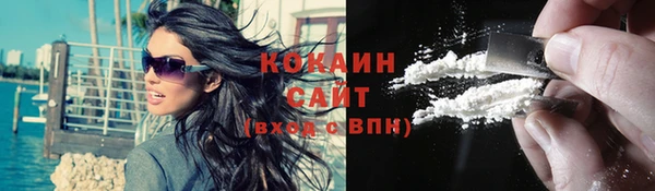 сатива Алзамай