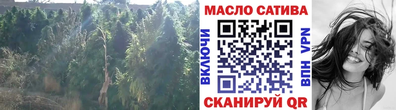 ТГК THC oil  как найти   Кулебаки 