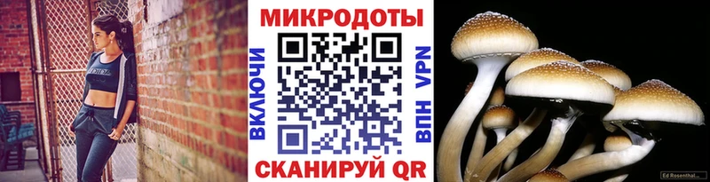 Псилоцибиновые грибы мицелий  Кулебаки 
