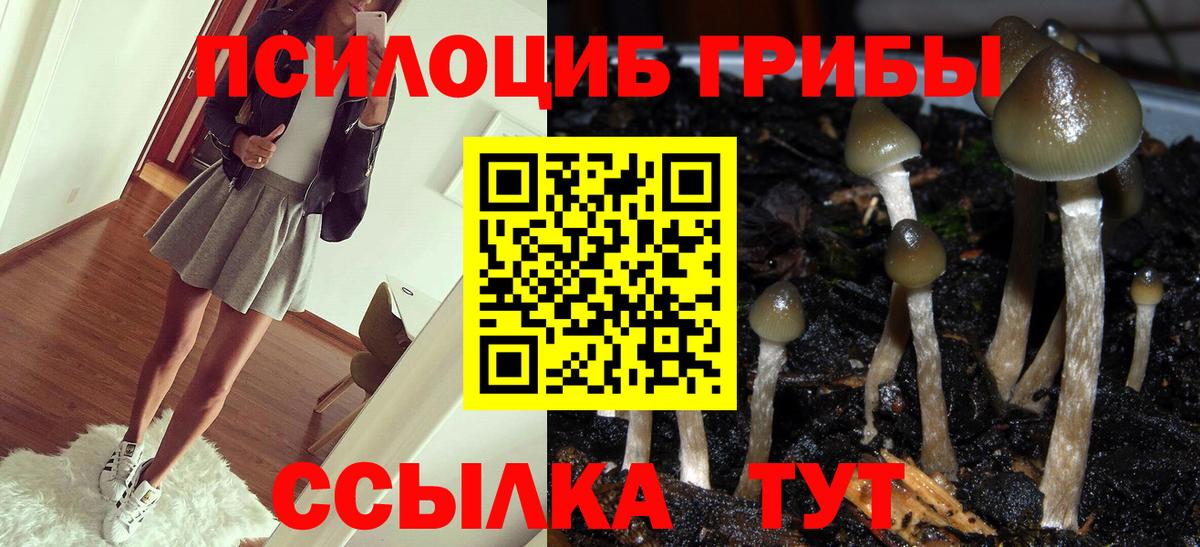 Галлюциногенные грибы GOLDEN TEACHER Кулебаки