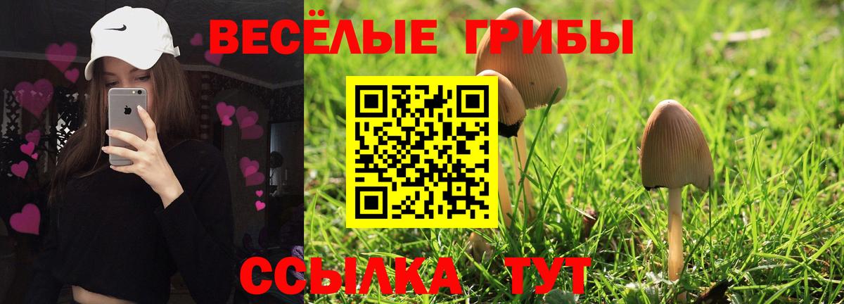 Кулебаки  Галлюциногенные грибы Magic Shrooms  Вход с VPN 
